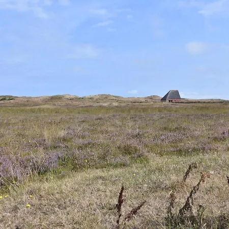 In Texel Near National Park Dunes *
