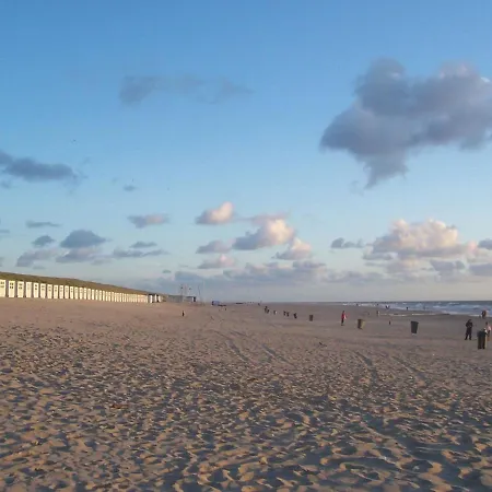 In Texel Near National Park Dunes * Westermient